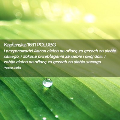 Picture 02 - Kapłańska 16:11 POLUBG - I przyprowadzi Aaron cielca na ofiarę za grzech - Bible Verse Picture