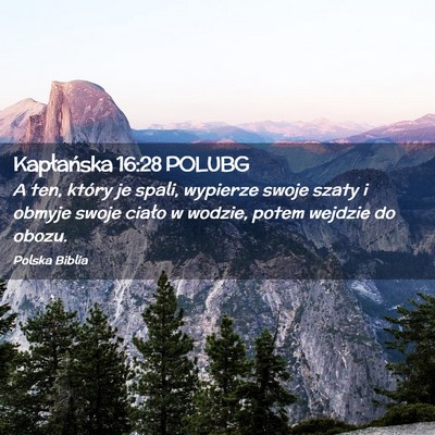 Picture 02 - Kapłańska 16:28 POLUBG - A ten, który je spali, wypierze swoje szaty i - Bible Verse Picture