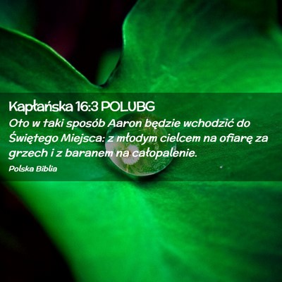 Picture 02 - Kapłańska 16:3 POLUBG - Oto w taki sposób Aaron będzie wchodzić do - Bible Verse Picture