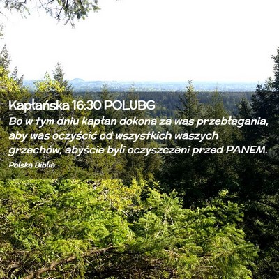 Picture 02 - Kapłańska 16:30 POLUBG - Bo w tym dniu kapłan dokona za was - Bible Verse Picture
