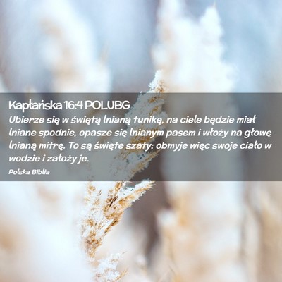Picture 02 - Kapłańska 16:4 POLUBG - Ubierze się w świętą lnianą tunikę, na - Bible Verse Picture