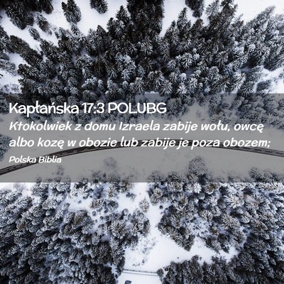 Picture 02 - Kapłańska 17:3 POLUBG - Ktokolwiek z domu Izraela zabije wołu, owcę - Bible Verse Picture