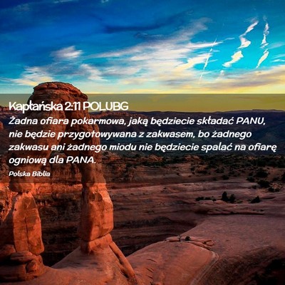 Picture 02 - Kapłańska 2:11 POLUBG - Żadna ofiara pokarmowa, jaką będziecie - Bible Verse Picture