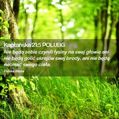 Picture 02 - Kapłańska 21:5 POLUBG - Nie będą sobie czynili łysiny na swej głowie - Bible Verse Picture