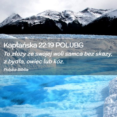 Picture 02 - Kapłańska 22:19 POLUBG - To złoży ze swojej woli samca bez skazy, z - Bible Verse Picture