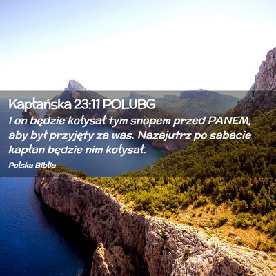 Picture 02 - Kapłańska 23:11 POLUBG - I on będzie kołysał tym snopem przed PANEM, - Bible Verse Picture