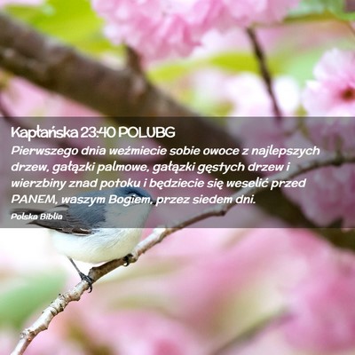 Picture 02 - Kapłańska 23:40 POLUBG - Pierwszego dnia weźmiecie sobie owoce z - Bible Verse Picture
