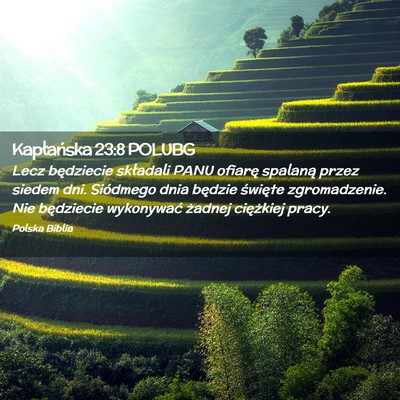 Picture 02 - Kapłańska 23:8 POLUBG - Lecz będziecie składali PANU ofiarę spalaną - Bible Verse Picture