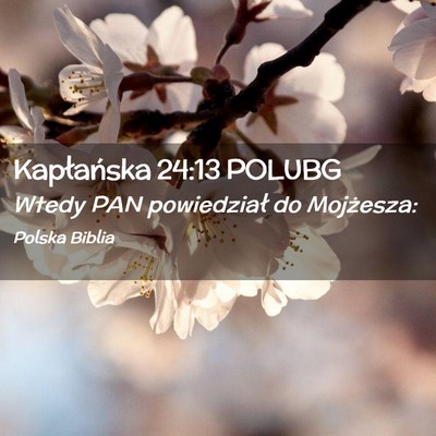 Picture 02 - Kapłańska 24:13 POLUBG - Wtedy PAN powiedział do - Bible Verse Picture