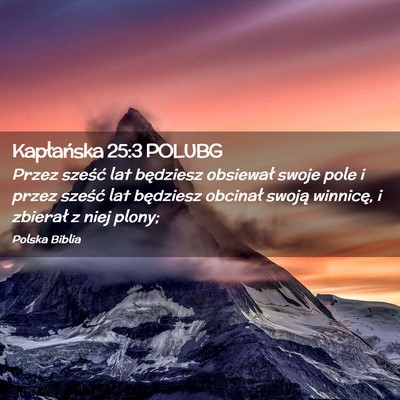 Picture 02 - Kapłańska 25:3 POLUBG - Przez sześć lat będziesz obsiewał swoje pole - Bible Verse Picture