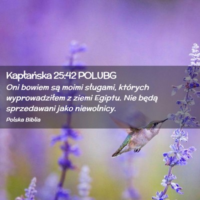 Picture 02 - Kapłańska 25:42 POLUBG - Oni bowiem są moimi sługami, których - Bible Verse Picture