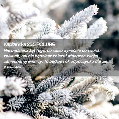 Picture 02 - Kapłańska 25:5 POLUBG - Nie będziesz żął tego, co samo wyrośnie po - Bible Verse Picture