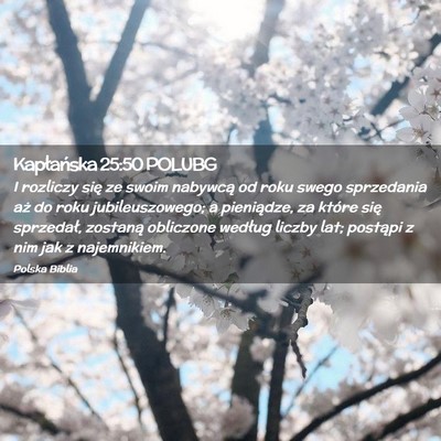 Picture 02 - Kapłańska 25:50 POLUBG - I rozliczy się ze swoim nabywcą od roku swego - Bible Verse Picture