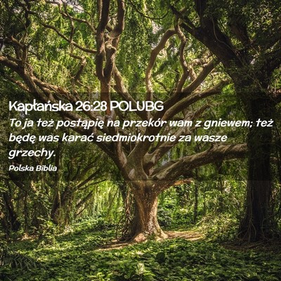 Picture 02 - Kapłańska 26:28 POLUBG - To ja też postąpię na przekór wam z gniewem; - Bible Verse Picture