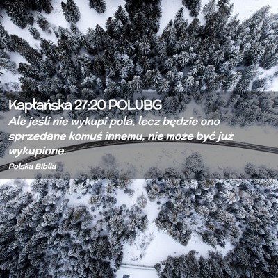 Picture 02 - Kapłańska 27:20 POLUBG - Ale jeśli nie wykupi pola, lecz będzie ono - Bible Verse Picture