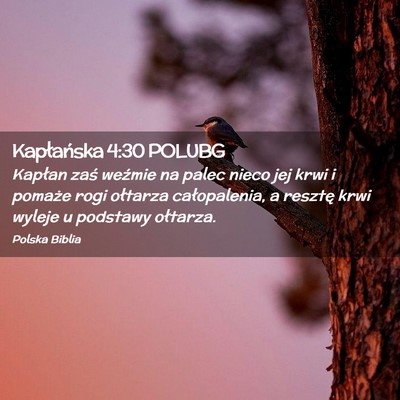 Picture 02 - Kapłańska 4:30 POLUBG - Kapłan zaś weźmie na palec nieco jej krwi i - Bible Verse Picture