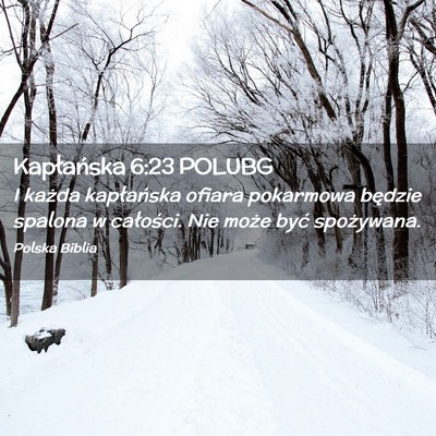 Picture 02 - Kapłańska 6:23 POLUBG - I każda kapłańska ofiara pokarmowa będzie - Bible Verse Picture
