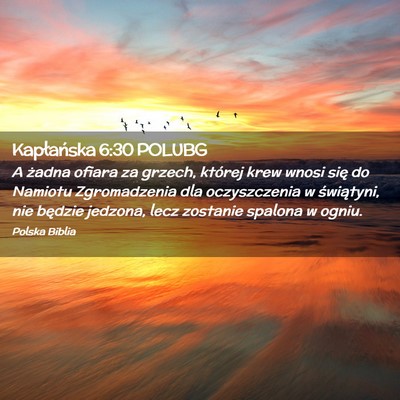 Picture 02 - Kapłańska 6:30 POLUBG - A żadna ofiara za grzech, której krew wnosi - Bible Verse Picture