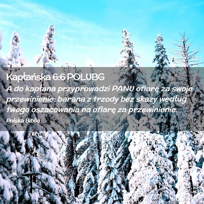 Picture 02 - Kapłańska 6:6 POLUBG - A do kapłana przyprowadzi PANU ofiarę za swoje - Bible Verse Picture