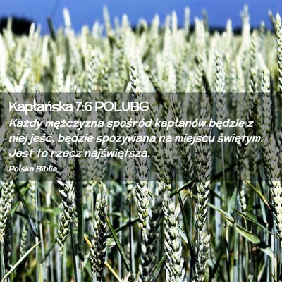 Picture 02 - Kapłańska 7:6 POLUBG - Każdy mężczyzna spośród kapłanów będzie z - Bible Verse Picture