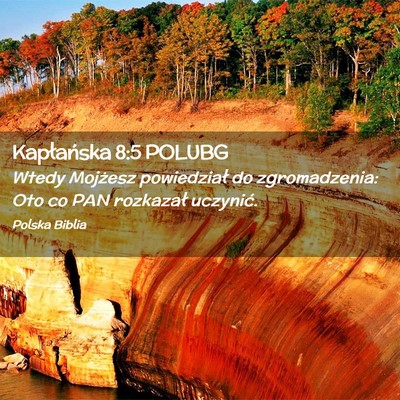 Picture 02 - Kapłańska 8:5 POLUBG - Wtedy Mojżesz powiedział do zgromadzenia: Oto - Bible Verse Picture