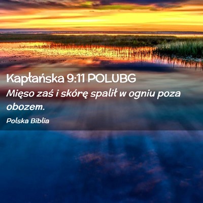 Picture 02 - Kapłańska 9:11 POLUBG - Mięso zaś i skórę spalił w ogniu poza - Bible Verse Picture