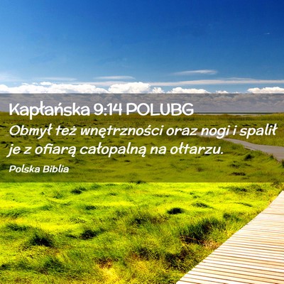 Picture 02 - Kapłańska 9:14 POLUBG - Obmył też wnętrzności oraz nogi i spalił je - Bible Verse Picture