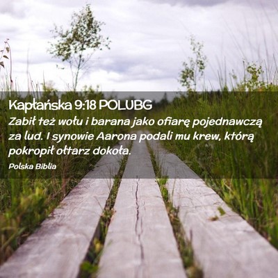 Picture 02 - Kapłańska 9:18 POLUBG - Zabił też wołu i barana jako ofiarę - Bible Verse Picture