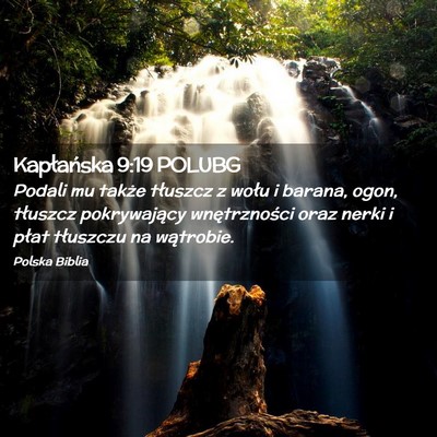 Picture 02 - Kapłańska 9:19 POLUBG - Podali mu także tłuszcz z wołu i barana, ogon, - Bible Verse Picture