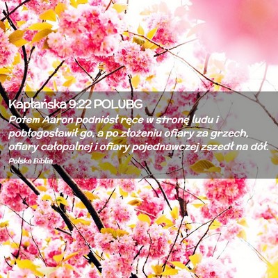 Picture 02 - Kapłańska 9:22 POLUBG - Potem Aaron podniósł ręce w stronę ludu i - Bible Verse Picture