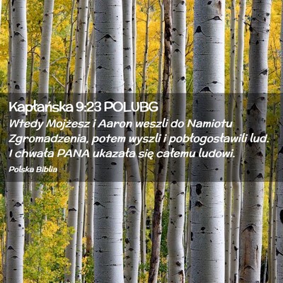 Picture 02 - Kapłańska 9:23 POLUBG - Wtedy Mojżesz i Aaron weszli do Namiotu - Bible Verse Picture