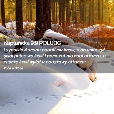 Picture 02 - Kapłańska 9:9 POLUBG - I synowie Aarona podali mu krew, a on umoczył - Bible Verse Picture