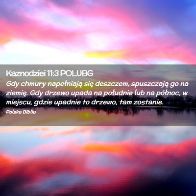 Picture 02 - Kaznodziei 11:3 POLUBG - Gdy chmury napełniają się deszczem, - Bible Verse Picture