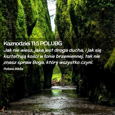 Picture 02 - Kaznodziei 11:5 POLUBG - Jak nie wiesz, jaka jest droga ducha, i jak się - Bible Verse Picture