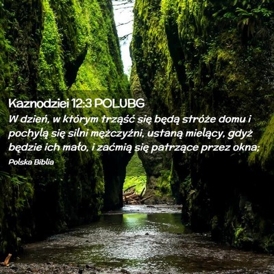 Picture 02 - Kaznodziei 12:3 POLUBG - W dzień, w którym trząść się będą - Bible Verse Picture