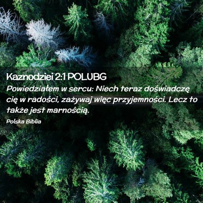 Picture 02 - Kaznodziei 2:1 POLUBG - Powiedziałem w sercu: Niech teraz doświadczę - Bible Verse Picture