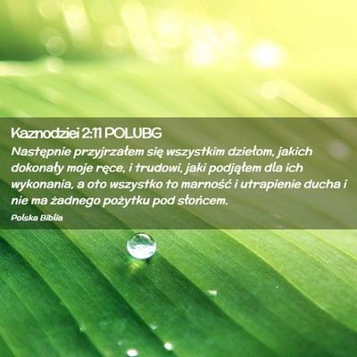 Picture 02 - Kaznodziei 2:11 POLUBG - Następnie przyjrzałem się wszystkim dziełom, - Bible Verse Picture