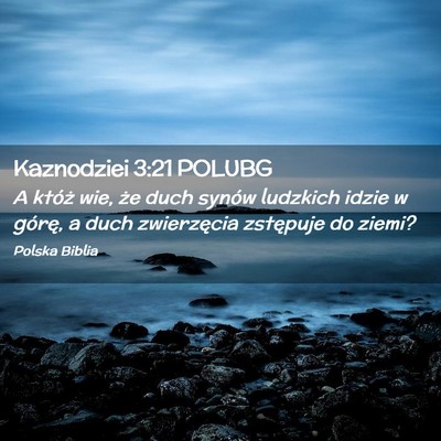 Picture 02 - Kaznodziei 3:21 POLUBG - A któż wie, że duch synów ludzkich idzie w - Bible Verse Picture