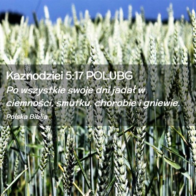 Picture 02 - Kaznodziei 5:17 POLUBG - Po wszystkie swoje dni jadał w ciemności, - Bible Verse Picture