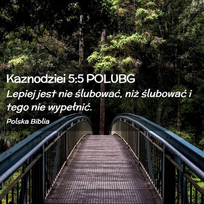 Picture 02 - Kaznodziei 5:5 POLUBG - Lepiej jest nie ślubować, niż ślubować i - Bible Verse Picture