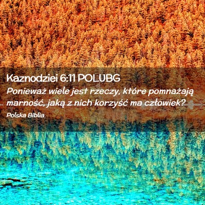 Picture 02 - Kaznodziei 6:11 POLUBG - Ponieważ wiele jest rzeczy, które pomnażają - Bible Verse Picture