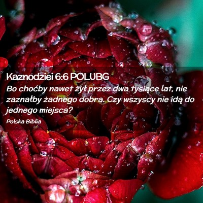 Picture 02 - Kaznodziei 6:6 POLUBG - Bo choćby nawet żył przez dwa tysiące lat, - Bible Verse Picture