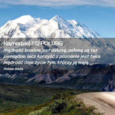 Picture 02 - Kaznodziei 7:12 POLUBG - Mądrość bowiem jest osłoną, osłoną są - Bible Verse Picture