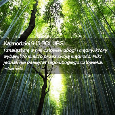 Picture 02 - Kaznodziei 9:15 POLUBG - I znalazł się w nim człowiek ubogi i mądry, - Bible Verse Picture