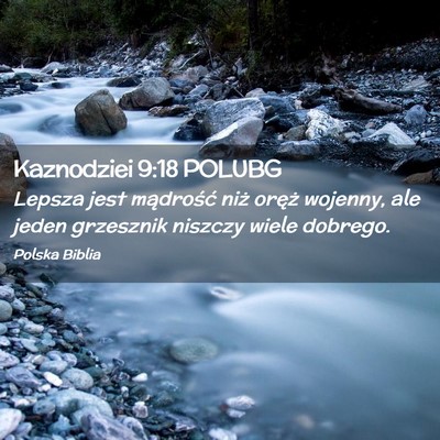 Picture 02 - Kaznodziei 9:18 POLUBG - Lepsza jest mądrość niż oręż wojenny, ale - Bible Verse Picture