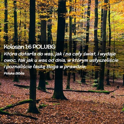 Picture 02 - Kolosan 1:6 POLUBG - Która dotarła do was, jak i na cały świat, i - Bible Verse Picture