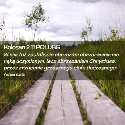 Picture 02 - Kolosan 2:11 POLUBG - W nim też zostaliście obrzezani obrzezaniem nie - Bible Verse Picture