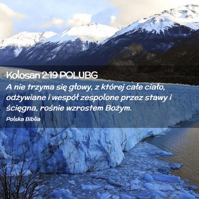 Picture 02 - Kolosan 2:19 POLUBG - A nie trzyma się głowy, z której całe ciało, - Bible Verse Picture