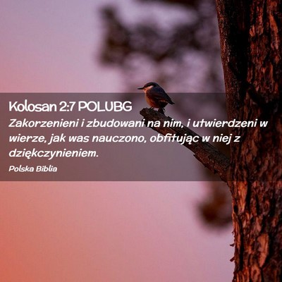 Picture 02 - Kolosan 2:7 POLUBG - Zakorzenieni i zbudowani na nim, i utwierdzeni w - Bible Verse Picture