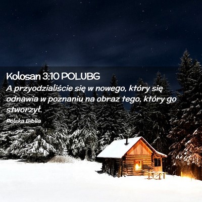 Picture 02 - Kolosan 3:10 POLUBG - A przyodzialiście się w nowego, który się - Bible Verse Picture